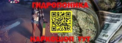 спиды Будённовск