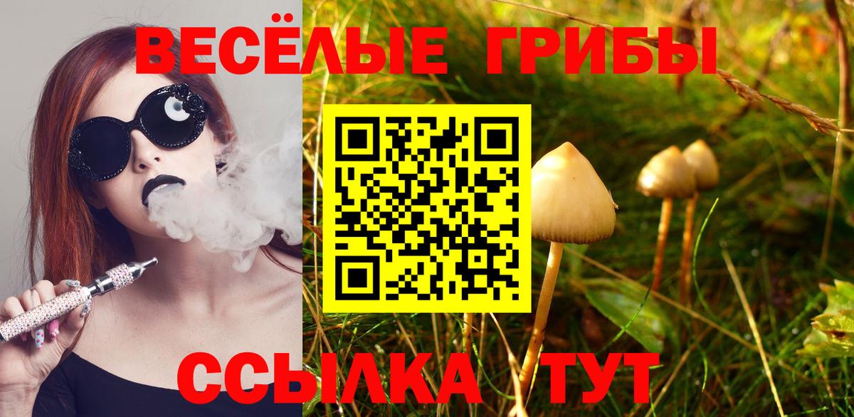 Галлюциногенные грибы ЛСД  Вход с VPN  Саки 
