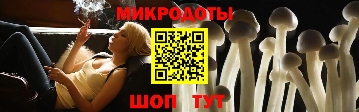 Псилоцибиновые грибы GOLDEN TEACHER Саки